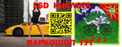 молекула духа Шебекино