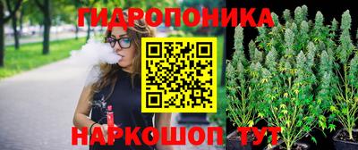 трава Шахты